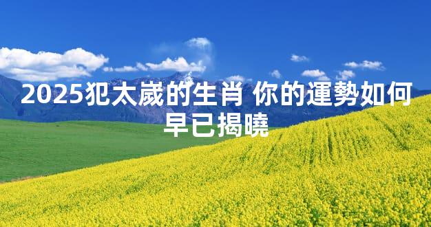 2025犯太嵗的生肖 你的運勢如何早已揭曉